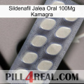 Sildenafil Oral Jelly 100Mg Kamagra 08